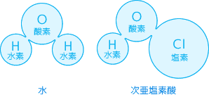 水(H2O)と次亜塩素酸(HOCl)