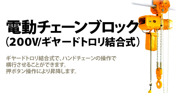 別倉庫からの配送 象印チェンブロック DBG型 上下