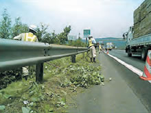 道路沿い