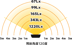 照明マップ