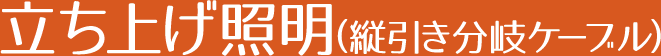 立ち上げ照明(縦引き分岐ケーブル)