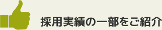 採用実績の一部をご紹介