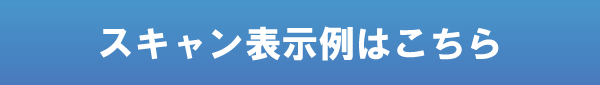 スキャン表示例はこちら